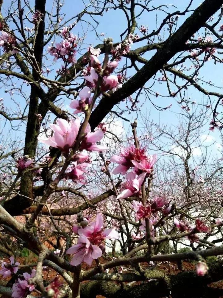 昆明国庆假期自驾游攻略,五一昆明最适合去的地方