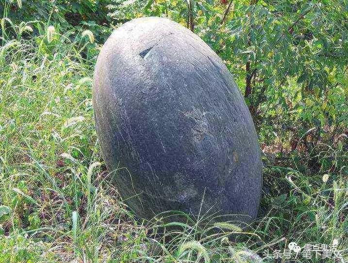 民间故事一个鸟蛋的故事,民间故事一颗鸟蛋的故事