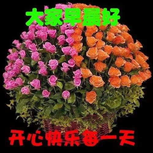 早上好祝你生活美好,早上好祝你新的一年幸福美满