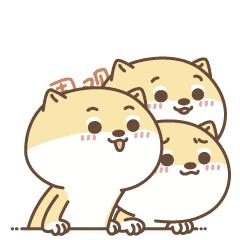 健身房老板跑路被抓了,健身房老板跑路起诉能有什么结果