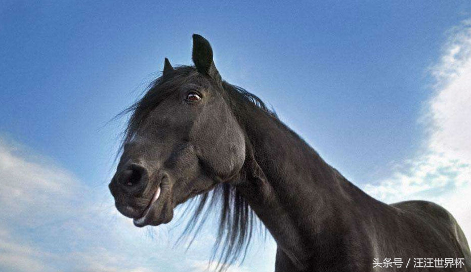 2018世界杯比分预测数据分析,世界杯猜比分最新预测