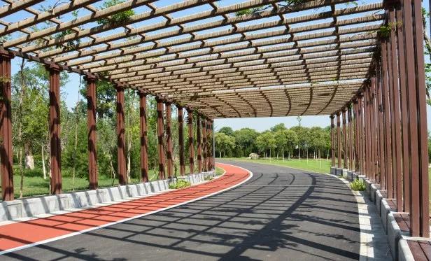 西安雁鸣湖跑道,西安城市运动公园跑道