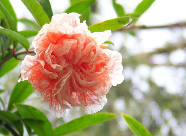 大开眼界知识大全,大开眼界看不懂