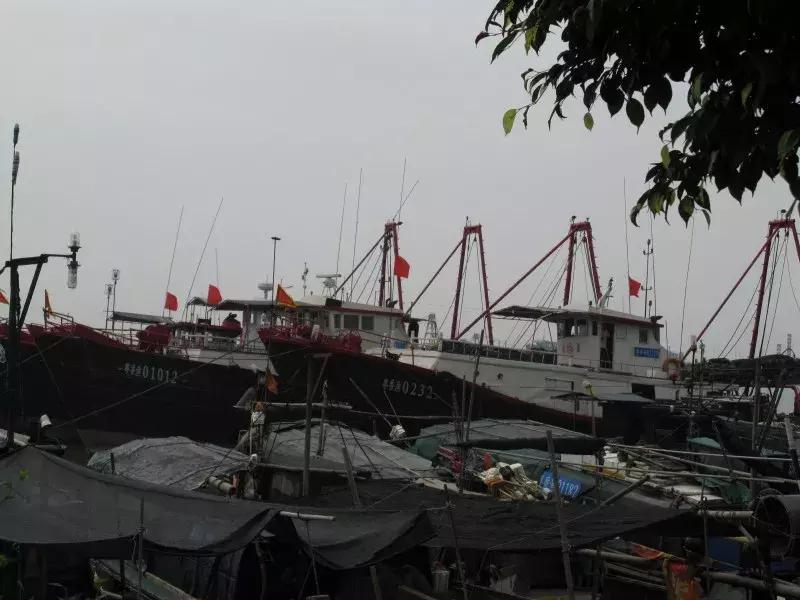 番禺区篮球村级赛在哪里打,广东番禺城区篮球比赛