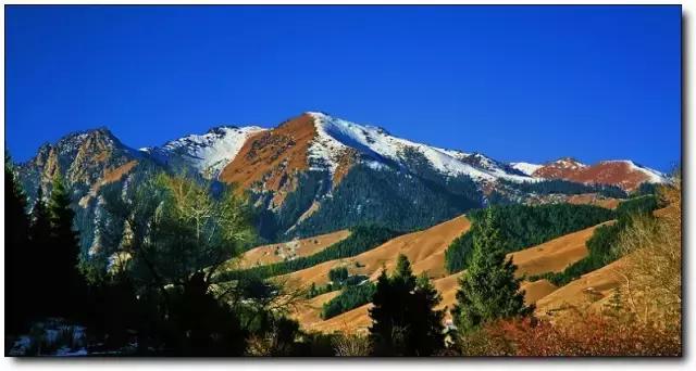 疆内春季风景,疆内美丽旅游景点