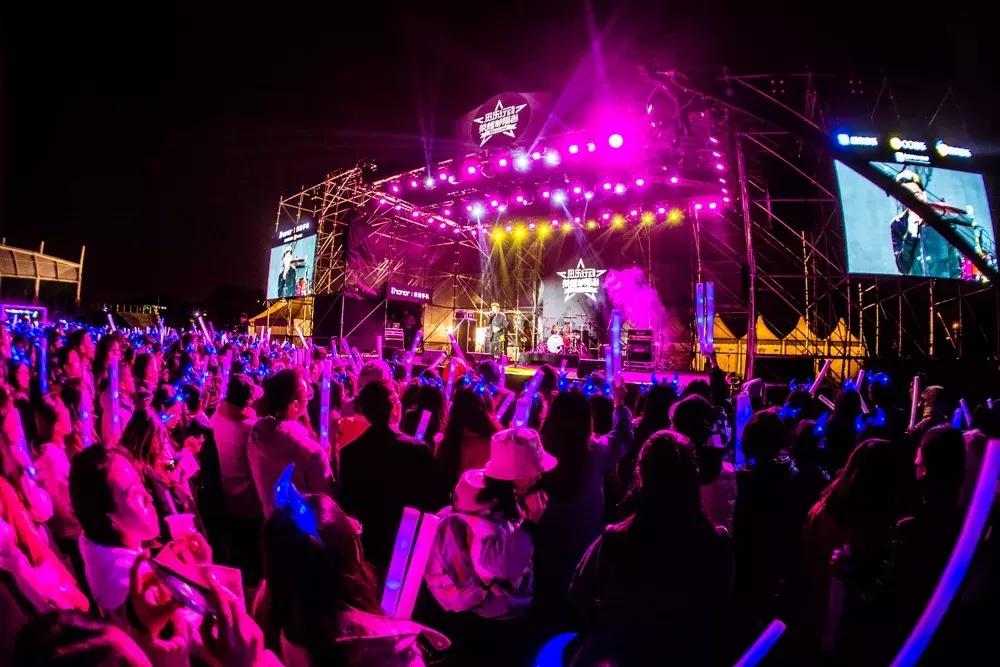 2019手机销量排行榜荣耀小米华为,2019年荣耀销量吊打小米红米