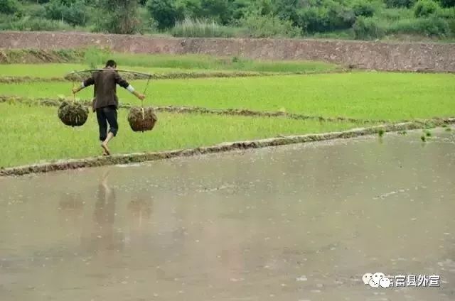 富县与富平是一个地方吗,富县是个好地方手抄报