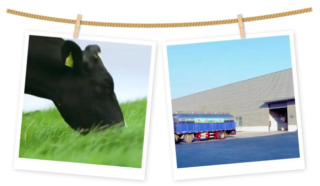 益膳房的牛奶怎么样,益膳房纯牛奶是调制的吗