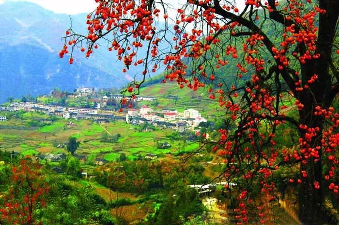 郑州周边夏天好玩的景点,郑州夏天旅游攻略景点必去