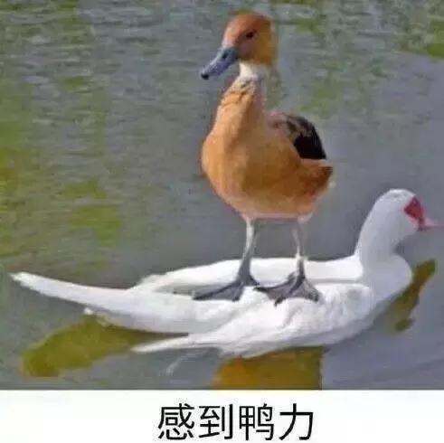 几千块的贵妇膏,几千块钱的面霜