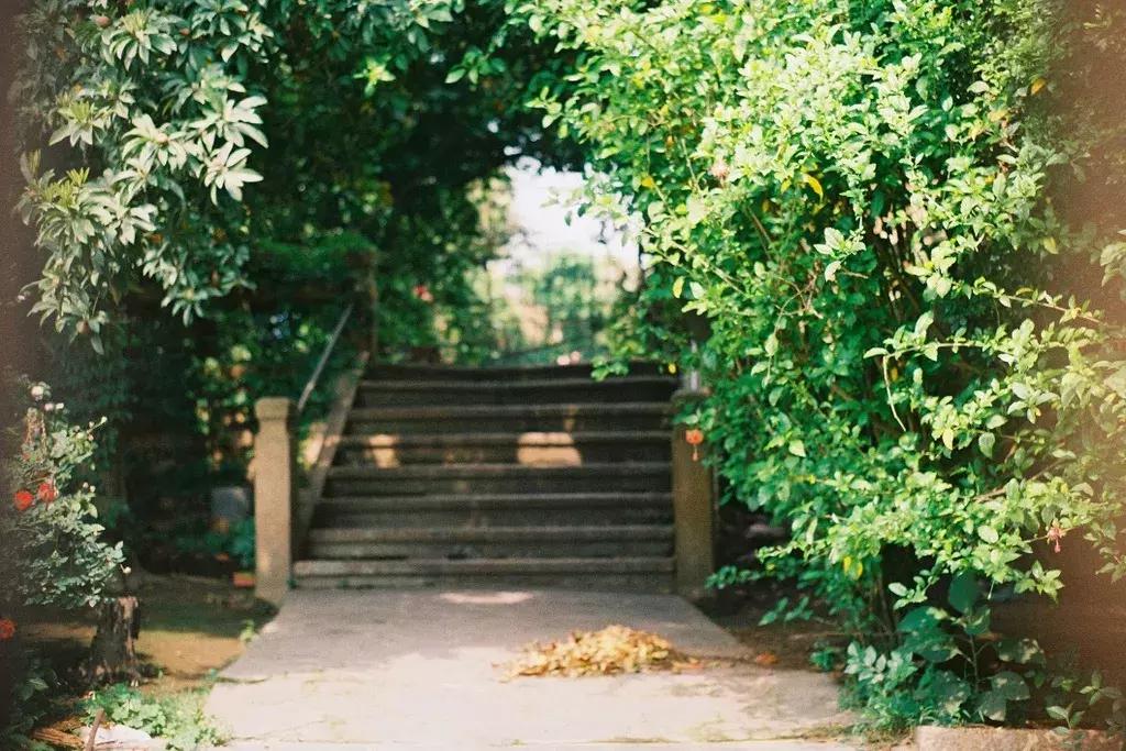 这个夏天总要来一趟浪漫的厦门,这个夏天再和你去一次厦门