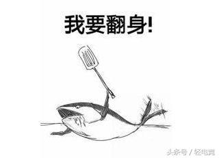 lol姝绘瓕鍔姫濂楄矾,lck瀹濈煶鍓戝湥鍔姫姝绘瓕