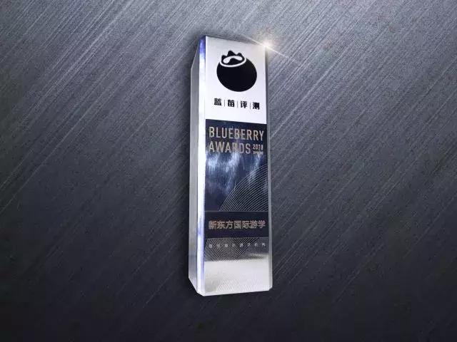 蓝莓留学,新东方暑期国外游学