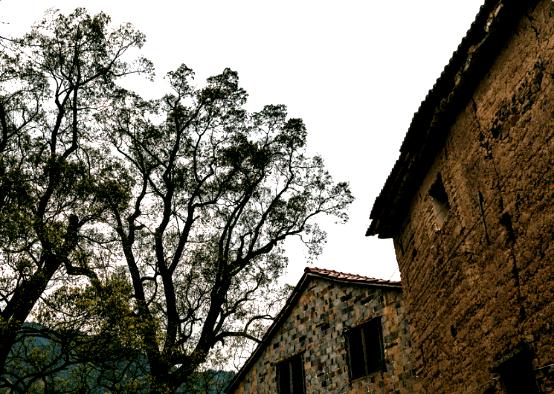 浙江神仙居自驾游2-3天推荐,杭州出发神仙居旅游攻略