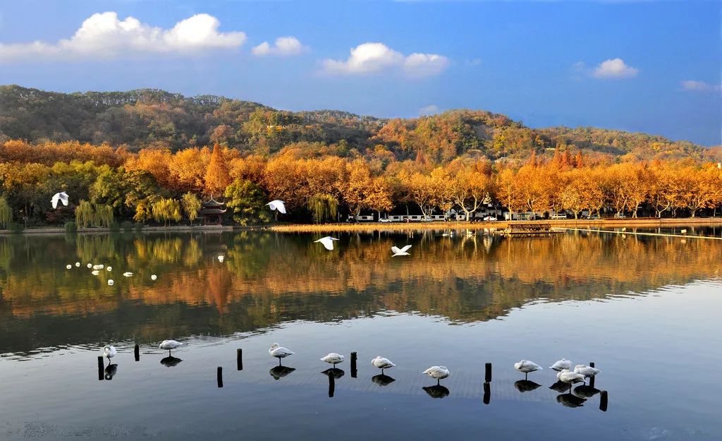 在上海生活有哪些福利可以领,外地人在上海享受的福利