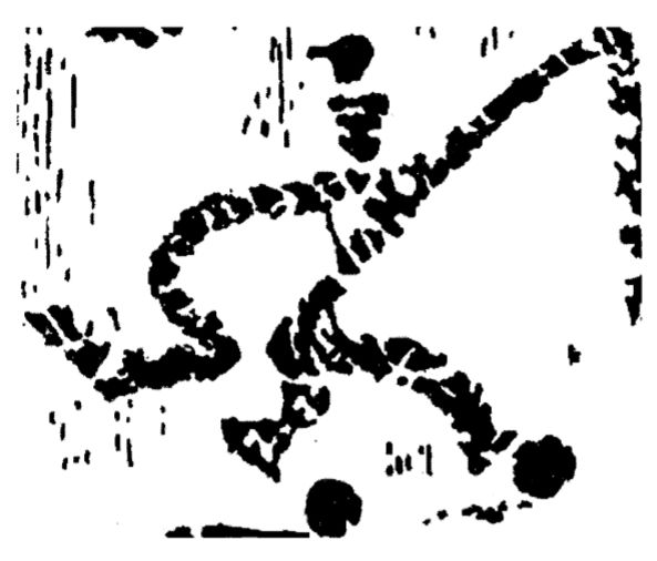 中国蹴鞠走进卡塔尔世界杯,蹴鞠完整版