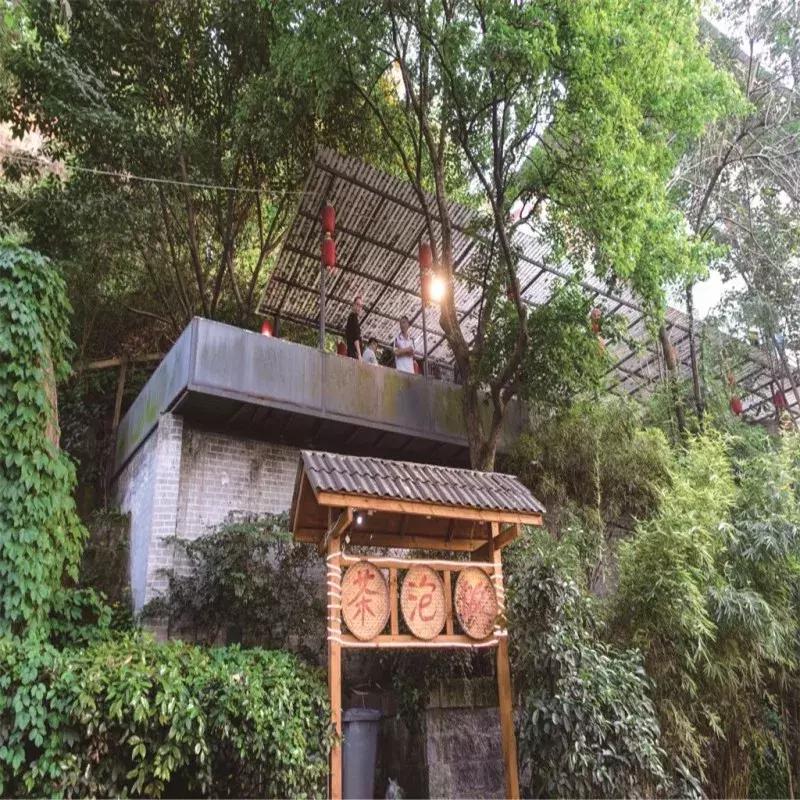 “想不红都难”系列：欢迎全世界的朋友来渝中蹭网