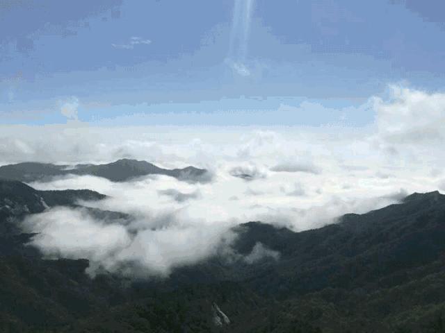 免费音乐节郑州,酒吧音乐节郑州