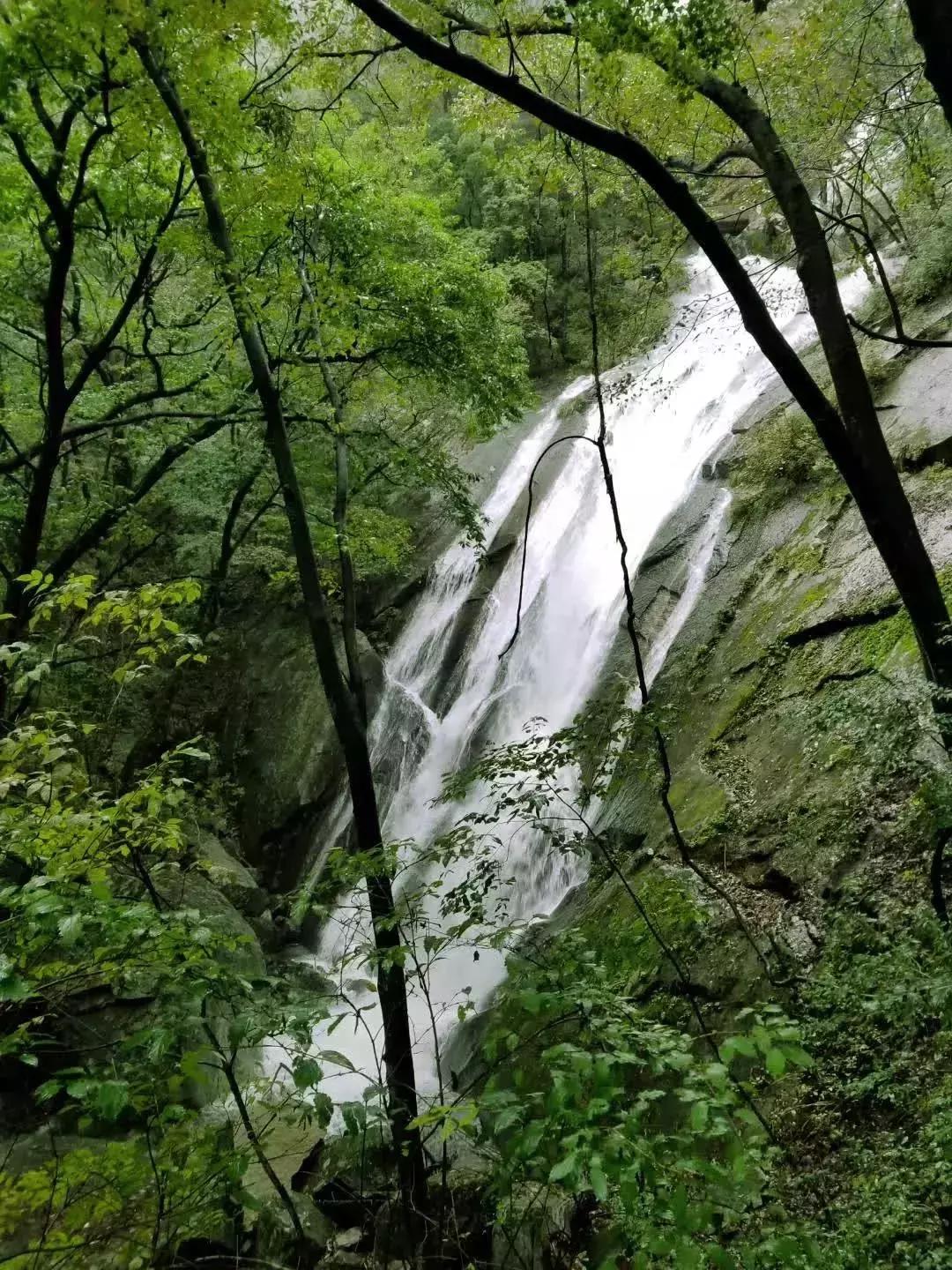 免费音乐节郑州,酒吧音乐节郑州