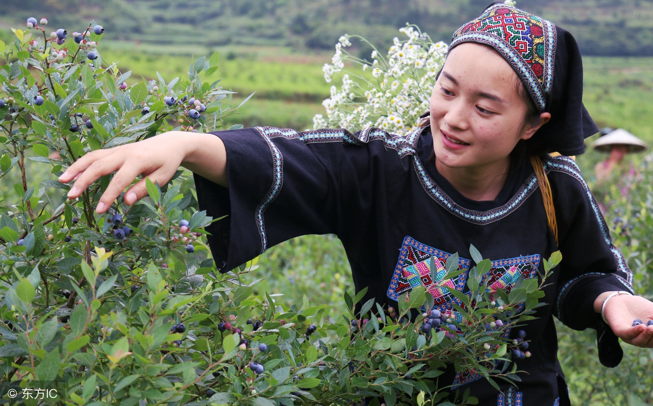 山西省211和985大学有几所,山西省有几所985和211大学