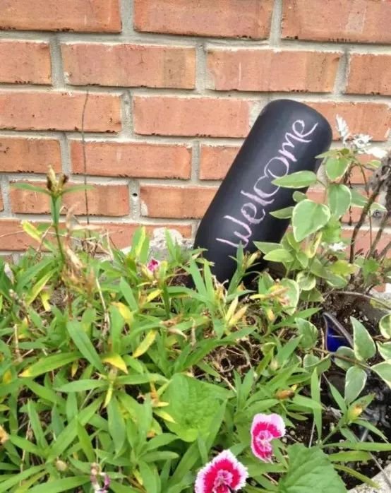 创意农业丨妙用瓶子,让你的农场不一样