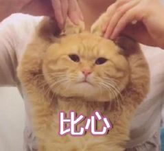 那些年跟风买过的东西,那些年用错的护肤品