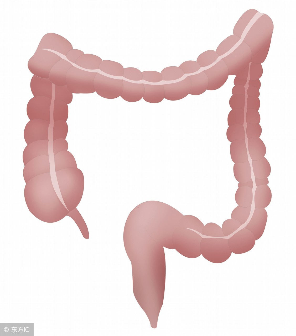 检查肠梗阻需要灌肠吗,检查是不是肠梗阻做什么检查