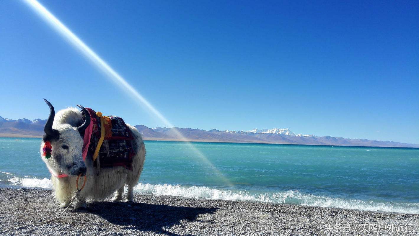 纳木错一日游自驾旅游攻略,纳木错与藏北草原一日游