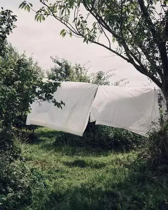 只要1分钟快速消灭被单螨虫,去除衣物被单螨虫神器