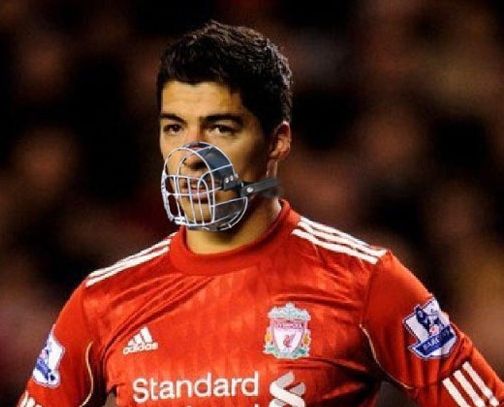 俄罗斯禁止宠物政策,足球世界杯禁止咬人吗