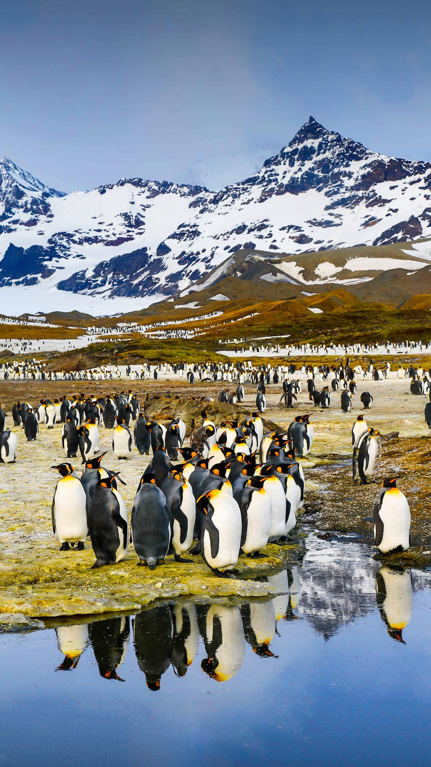 光圈的景深范围,光圈和景深对焦