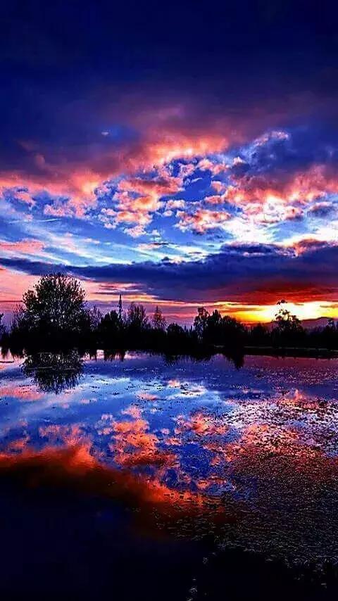 14张会动的照片,会动的照片大全大图