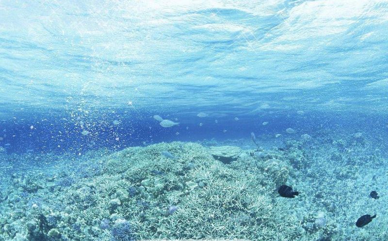 平价又好用的美白黑科技,夏天防晒美白黑科技