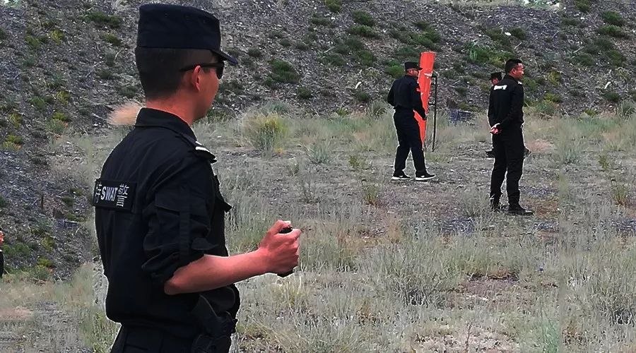 警务实战教官为民警讲授实战技能,警务实战教官需要具备哪些能力