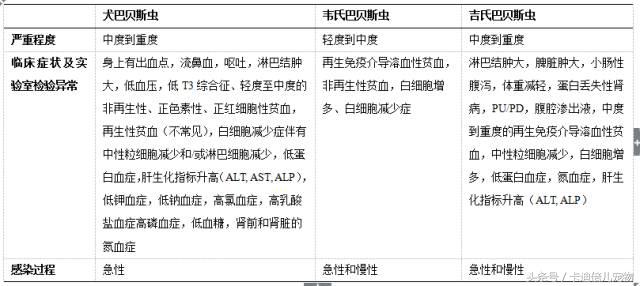 巴贝斯焦虫的终末宿主,巴贝斯焦虫病能扛过去吗