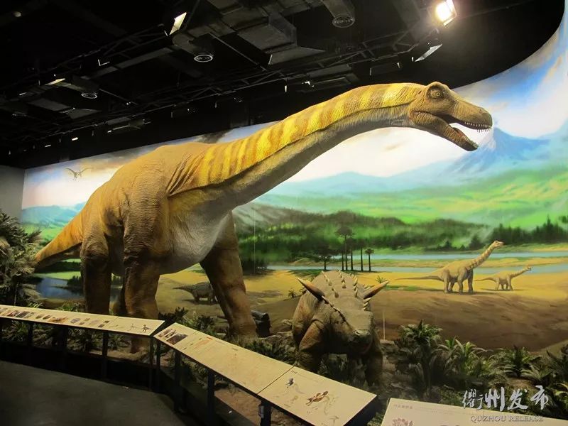 浙江衢州最有意思的地方,衢州的特色风景区