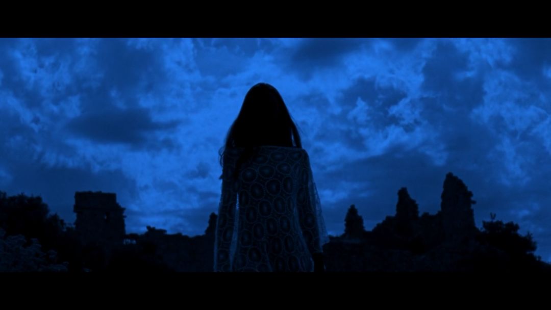 把大尺度拍得如此变态唯美,导演你怕是磕药了吧!