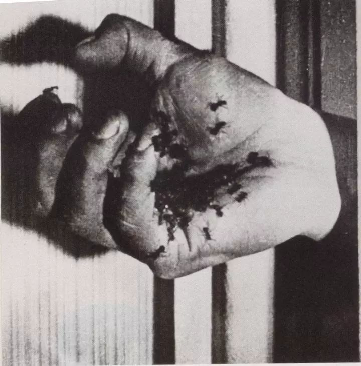 把大尺度拍得如此变态唯美,导演你怕是磕药了吧!