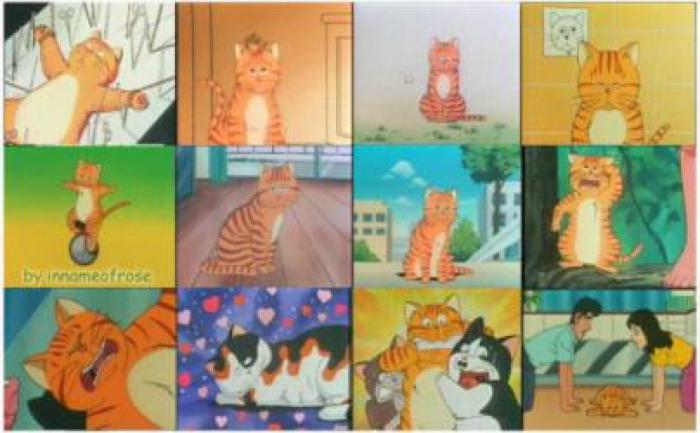 回忆童年的时光动画片大合集,回忆美好时光电视连续剧