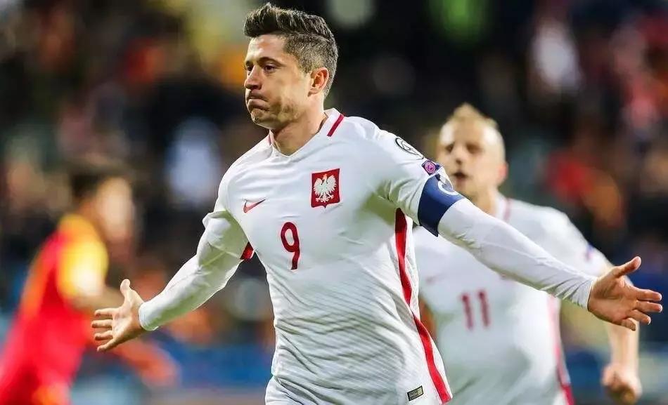 世界杯看球指南全集,球迷必备的世界杯看球指南