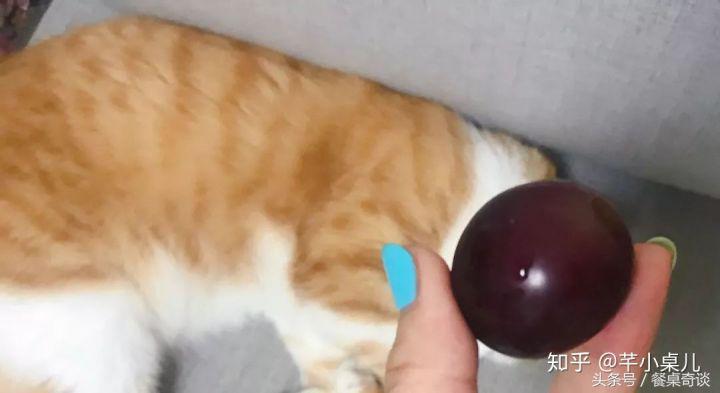 买到酸葡萄,买到很酸的葡萄