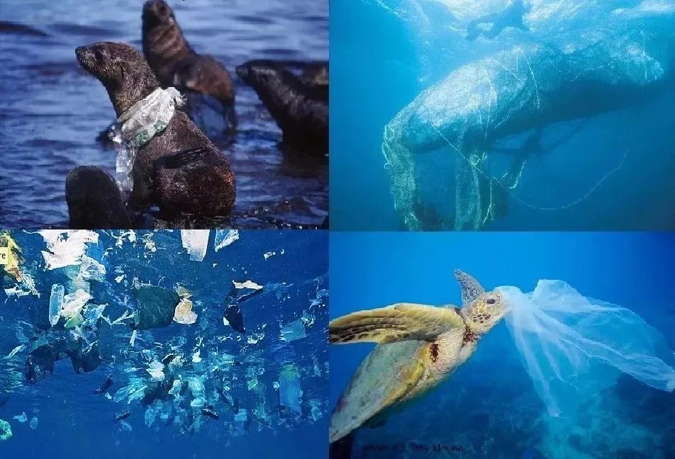 让人震撼的绝美景色,十大绝美景色