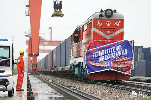 今年中国足球能进世界杯吗,中国足球进世界杯2002