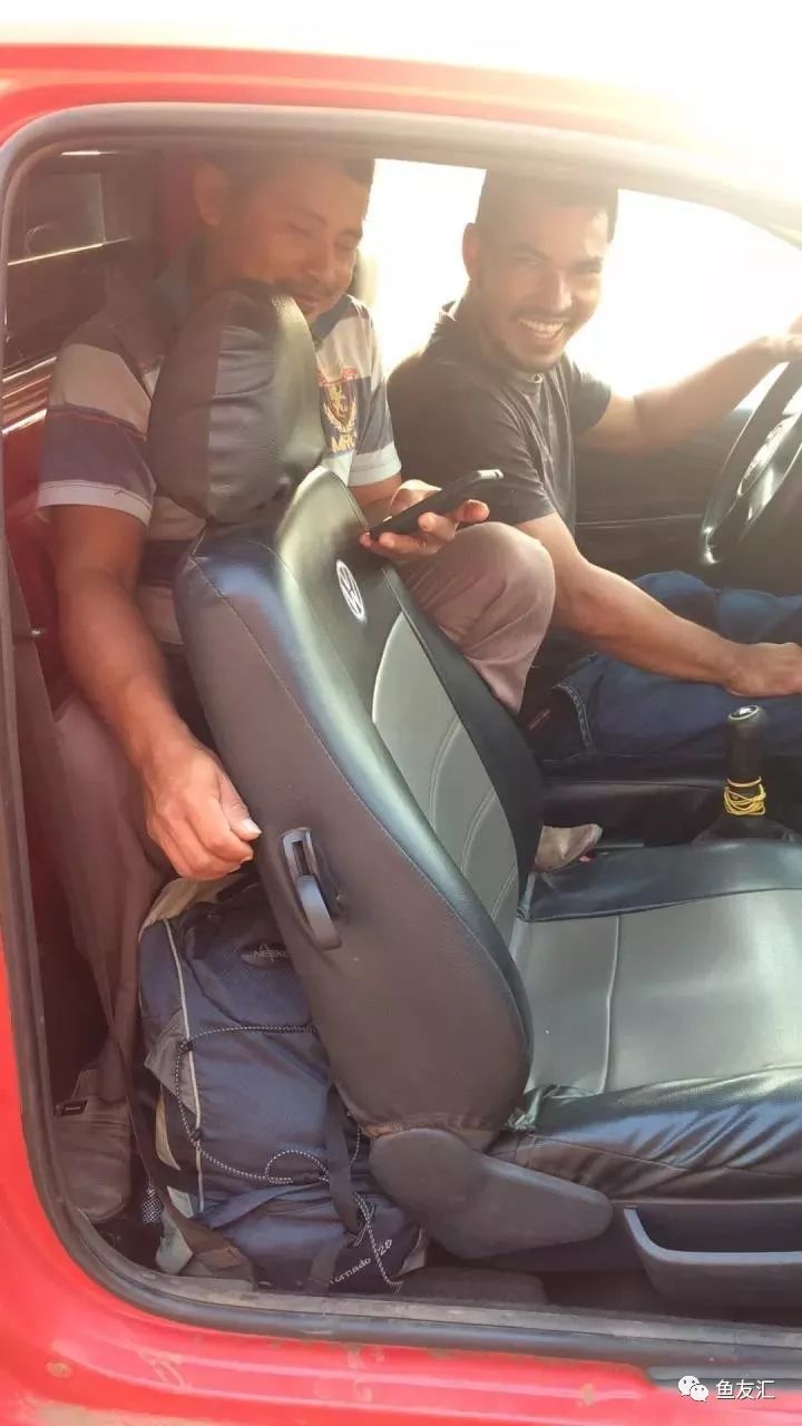 特隆贝塔如何饲养,特隆贝塔半皇与红彩区别