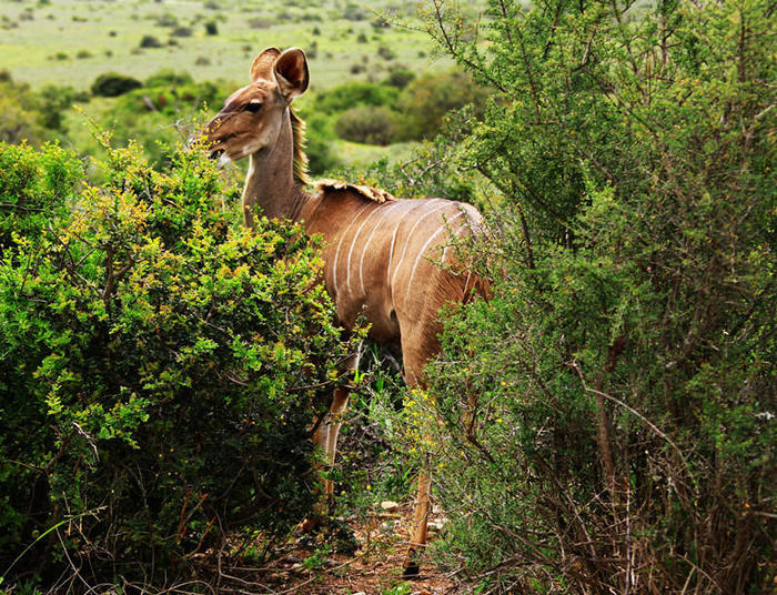难得的惬意时光周末,享受周末这悠闲惬意的时光