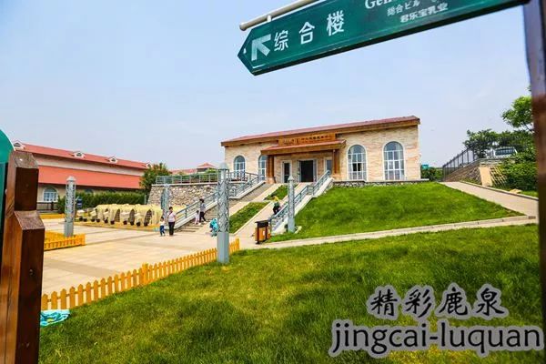 *春华胡**副总理来鹿泉了！