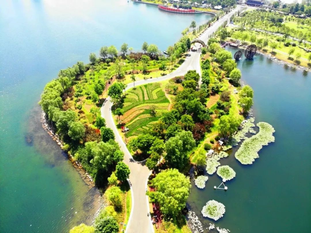 来赏花郁金香花展已开启,春日踏青花博会