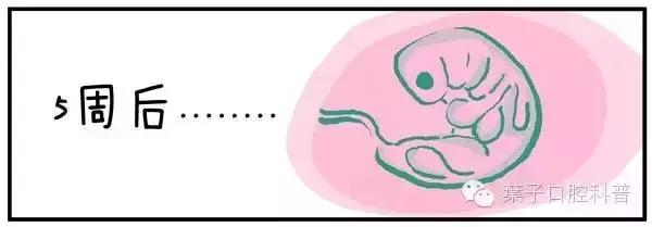 儿童治疗牙齿科普动画,孩子牙齿成长全过程