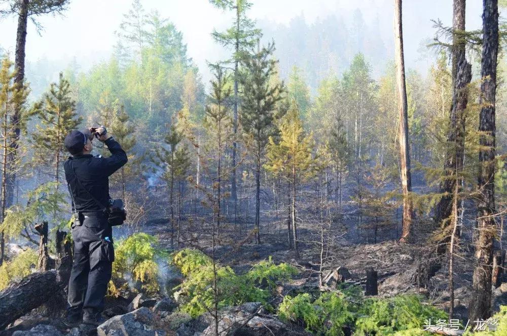 「龙江警风」烈火中逆行的“警察蓝”