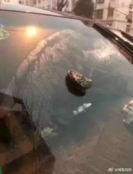 青岛能下海玩吗,青岛下海玩水哪里好